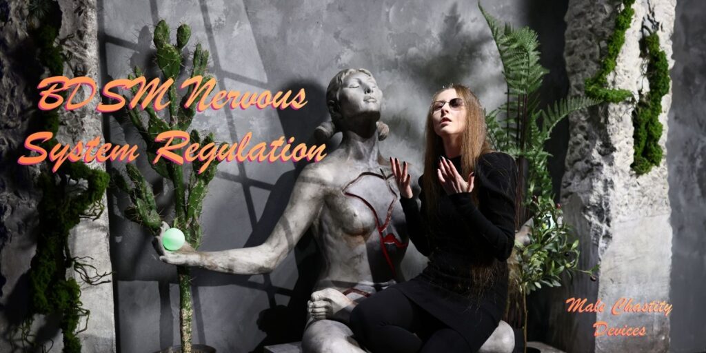 BDSM Nervous System Regulation: What You Need To Know